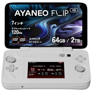 AYANEO FLIP DS